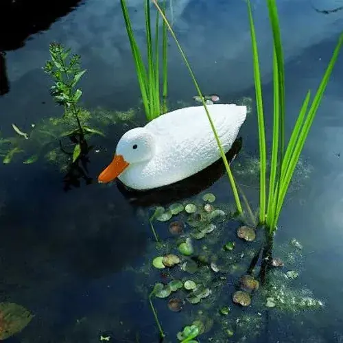 dekor kacsa fehér 37 cm ubbink Bestel Nu
