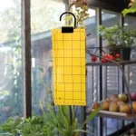 légyfogó papír 5db os nature Uitverkoop