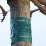 rovarcsapda fatörzsre 150 cm nature Speciale Aanbieding