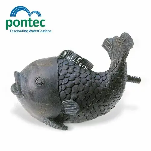 Populair pontec vízköpő hal