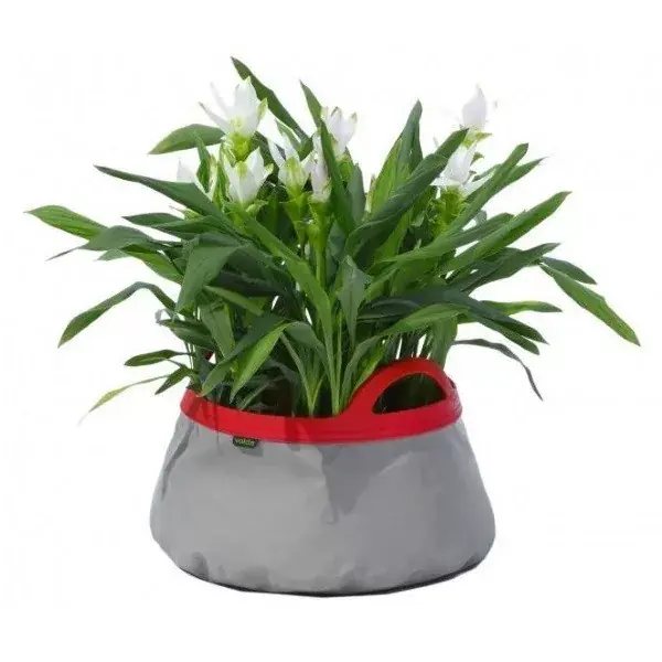 Actieprijs mini tavacska colour pond szürke pink 40 cm velda