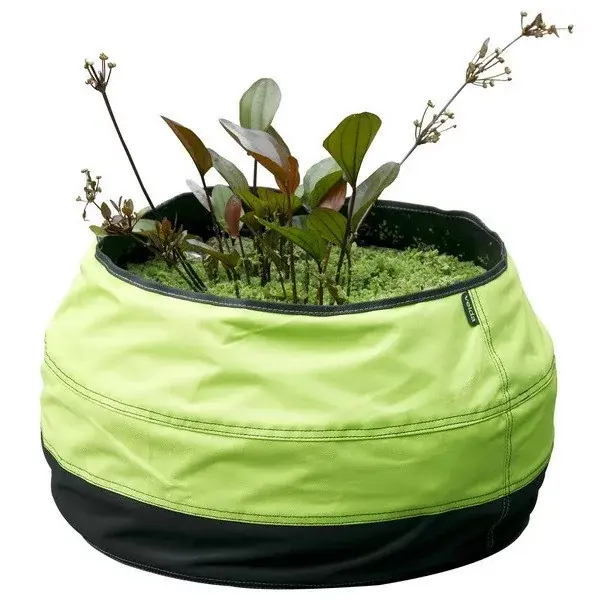 Koopje mini tavacska trendy pond kültéri lime velda