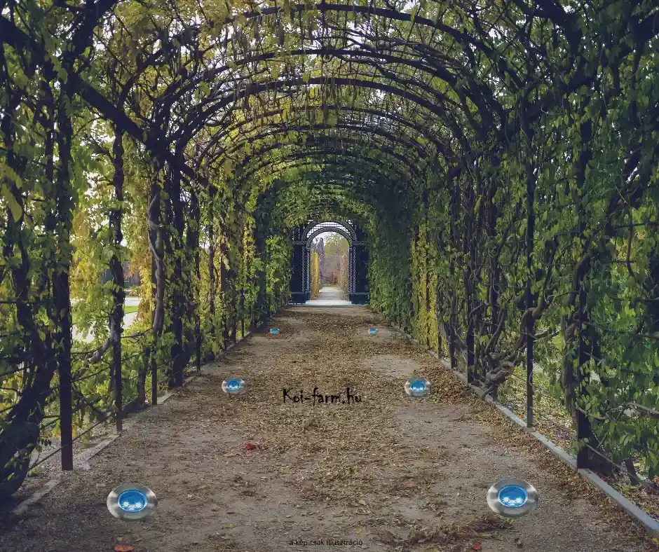 Voordeelprijs garden lights astrum süllyesztett lámpa rozsdamentes kék led