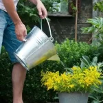 vödör 11 3l galvanizált Betaalbaar