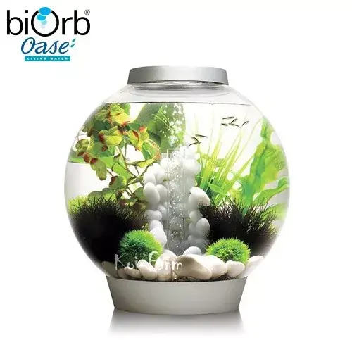 biorb classic akvárium 30 liter led ezüst thermo Finale Uitverkoop