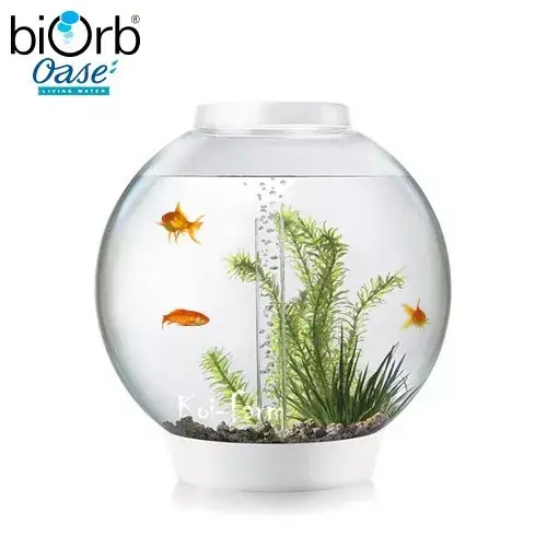 biorb classic akvárium 30 liter led fehér Alleen Vandaag