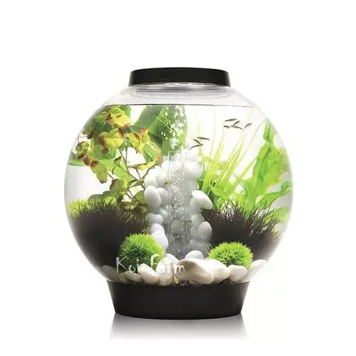 Rechtstreeks Van De Fabrikant biorb classic akvárium 30 liter led fekete