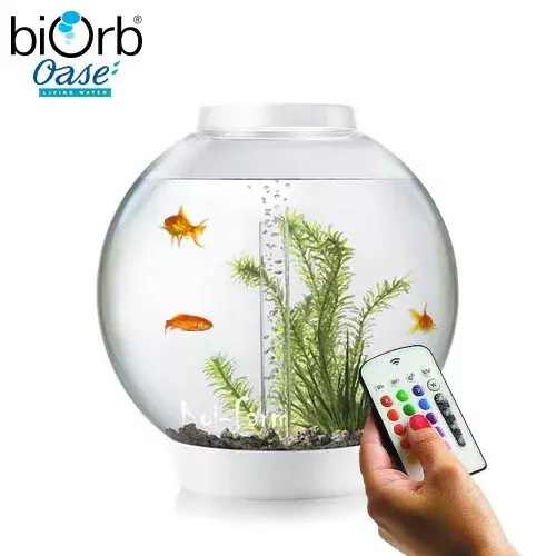Flitsaanbieding biorb classicmcr akvárium 30 liter színes led fehér