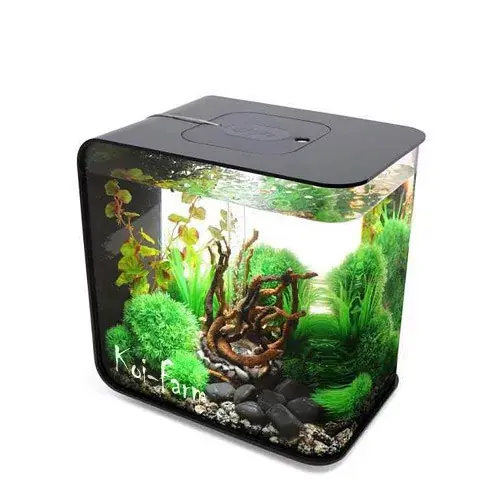 biorb flow akváriumkészlet led világítással 15 liter fekete Speciale Aanbieding