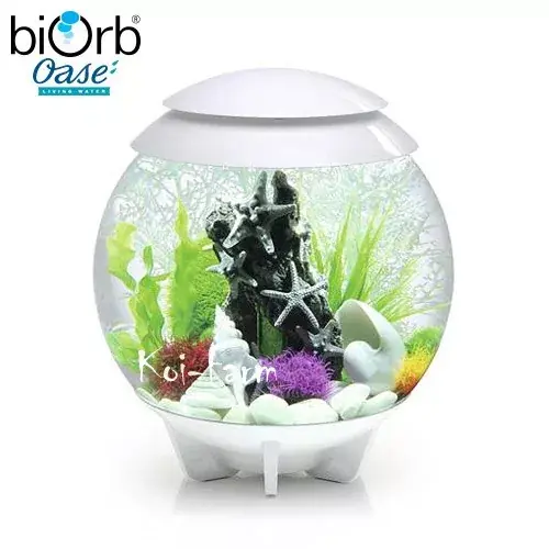 biorb halo 30 akvárium szett led világítással 30 liter fehér Alleen Vandaag