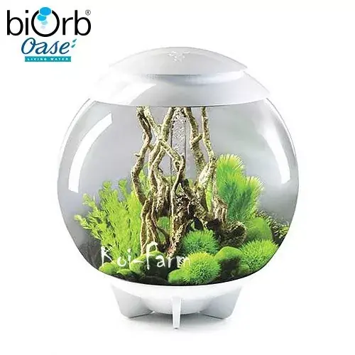 Meest Verkocht biorb halo 60 akvárium szett led világítással 60 liter fehér