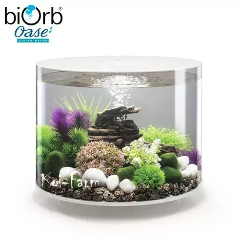 biorb tube 35 akvárium szett led világítással 35 liter fehér Actieprijs
