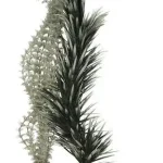 Betrouwbaar biorb ambulia grey green l