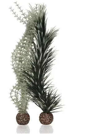 Betrouwbaar biorb ambulia grey green l