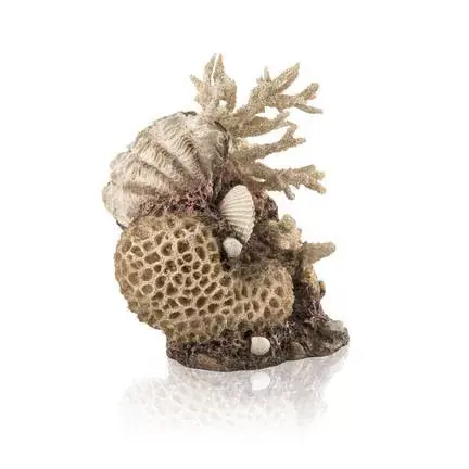 biorb coral shells ornament natural Veilige Betaling