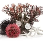 Alleen Vandaag biorb decor set 15l red forest