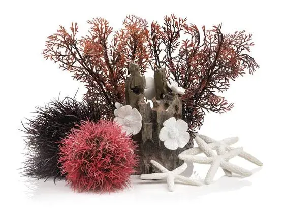 Alleen Vandaag biorb decor set 15l red forest
