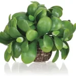 Superprijs biorb mistletoe ball