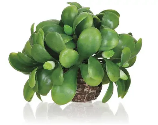 Superprijs biorb mistletoe ball