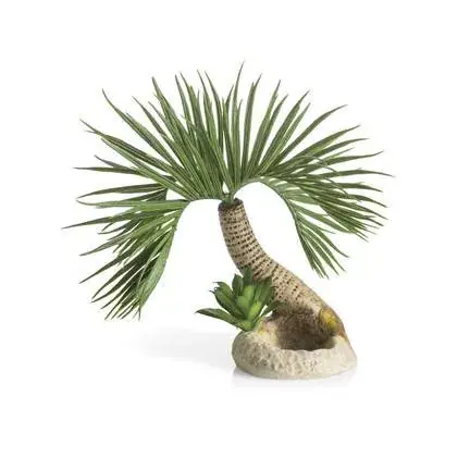 Betaalbaar biorb palm tree seychelle s