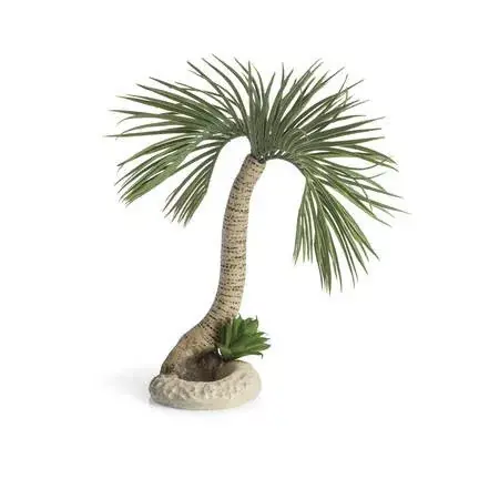 Gereduceerde Prijs biorb palm tree seychelles l