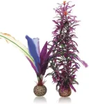 Lage Kosten biorb parrots feather s