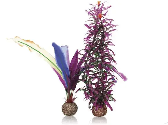 Lage Kosten biorb parrots feather s