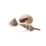 Dagaanbieding biorb sea shells natural