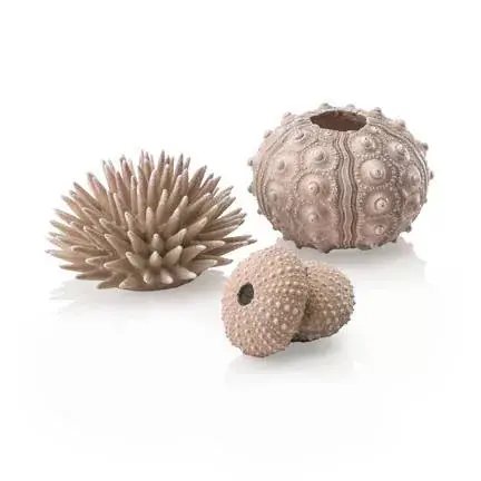 biorb sea urchins set natural Flitsaanbieding