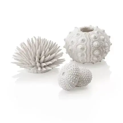 Alleen Vandaag biorb sea urchins set white