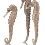 Bestseller biorb seahorses 3darab natural
