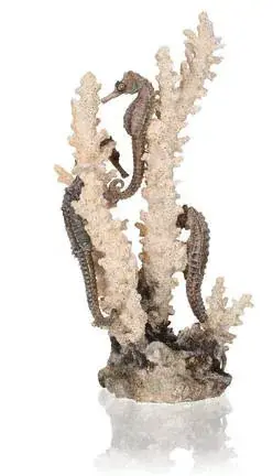 biorb seahorses on coral natural m Betaalbaar