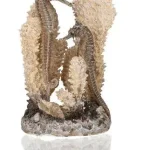 biorb seahorses on coral natural s Snelle Levering