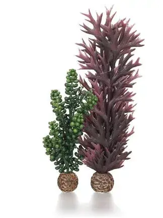 biorb seapearlskelp olive green Superprijs