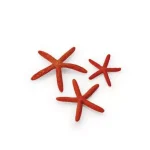 biorb starfish set 3 natural Direct Beschikbaar