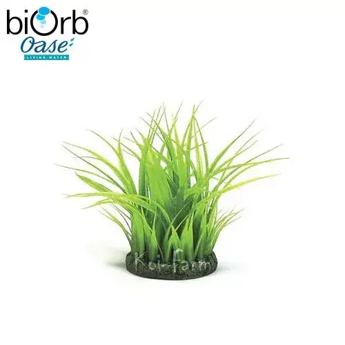 Koop Vandaag fű gyűrű dekoráció 15 cm biorb