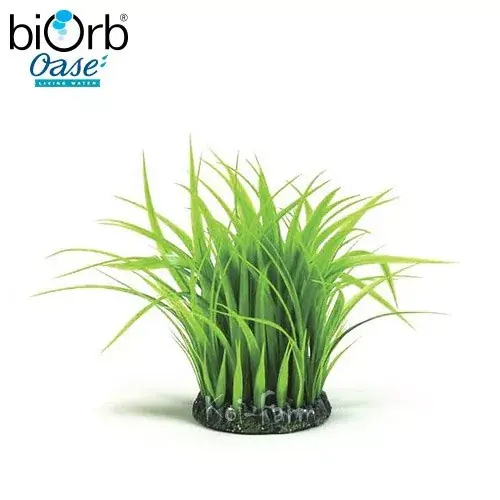 fű gyűrű dekoráció 21 cm biorb Direct Beschikbaar
