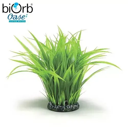 Gratis Retour fű gyűrű dekoráció 27 cm biorb