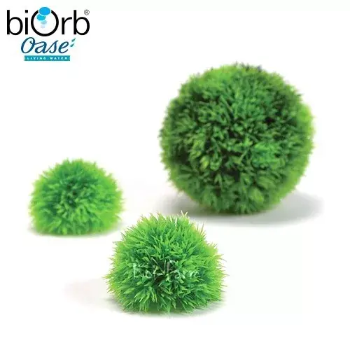 Uitverkoop gömb alakú növény dekoráció 3 db biorb
