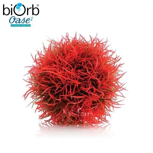 Voordeelprijs gömb alakú növény dekoráció vörös 9 cm biorb