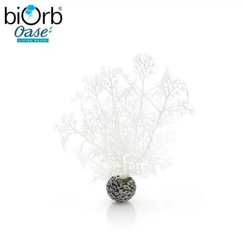 legyezőkorall dekoráció fehér 20 cm biorb Bestseller