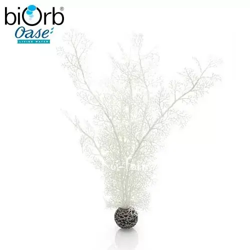 Betrouwbaar legyezőkorall dekoráció fehér 39 cm biorb
