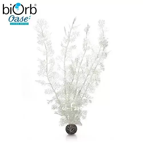 legyezőkorall dekoráció fehér 49 cm biorb Must-Have