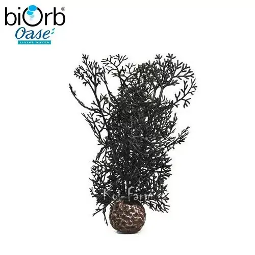 Voordeelprijs legyezőkorall dekoráció fekete 20 cm biorb