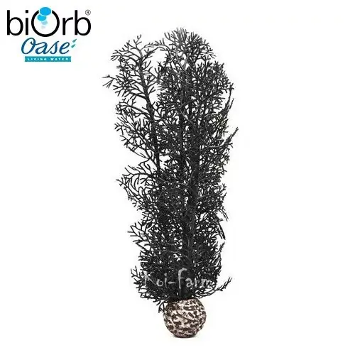 Populair legyezőkorall dekoráció fekete 29 cm biorb