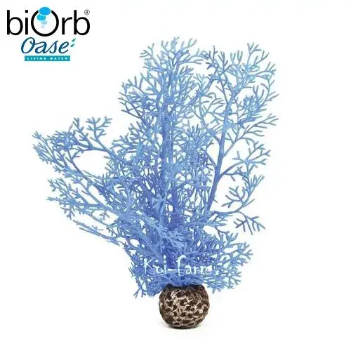 Aanbieding legyezőkorall dekoráció kék 20 cm biorb