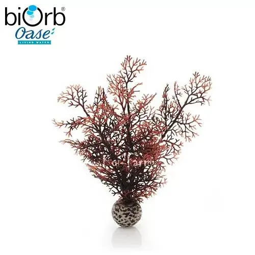 legyezőkorall dekoráció vörös 20 cm biorb Nieuw