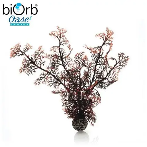 Op = Op legyezőkorall dekoráció vörös 29 cm biorb