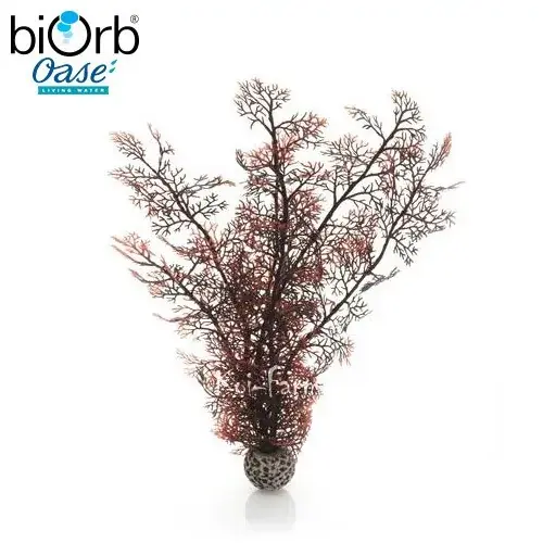 legyezőkorall dekoráció vörös 39 cm biorb Bestel Nu