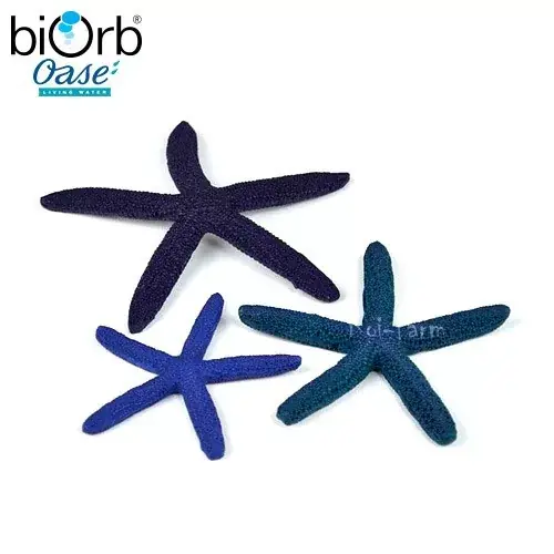 Snelle Levering tengeri csillag dekoráció 3 db kék biorb